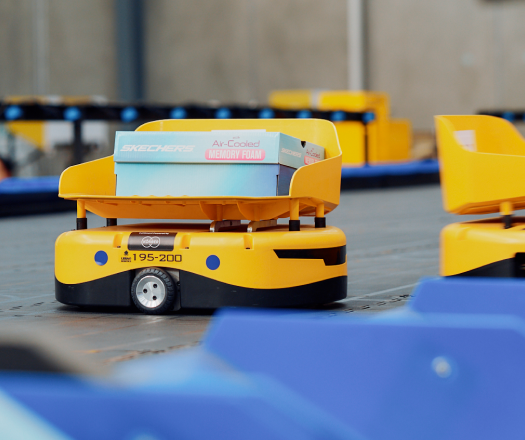Logistics robots in DSL warehouse